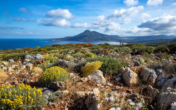 Rendez-vous sur... la côte ouest de la Sardaigne