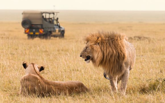 Safari en 12 nuits