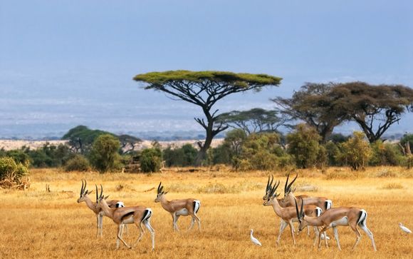 Vos excursions incluses