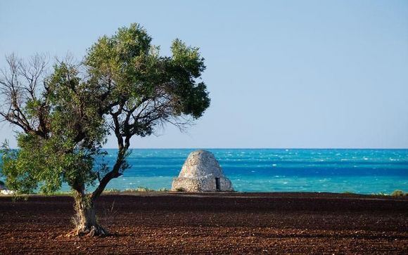 Découverte des Pouilles du Haut Salento à la Vallée d'Itria