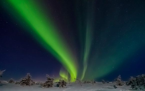 Chasse aux aurores boréales