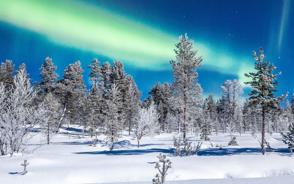 Zoom sur votre programme