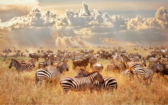 Rendez-vous ... au Kenya et en Tanzanie