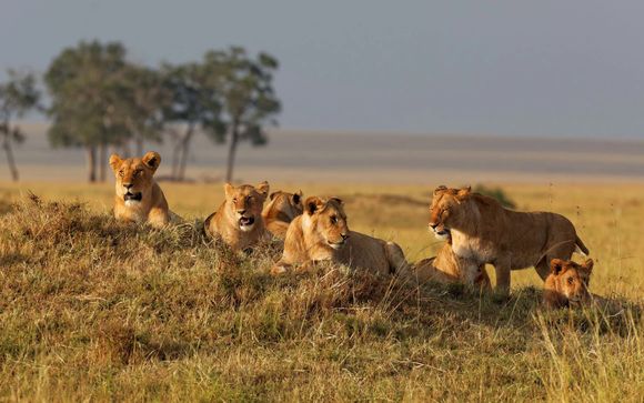 Rendez-vous ...au Kenya