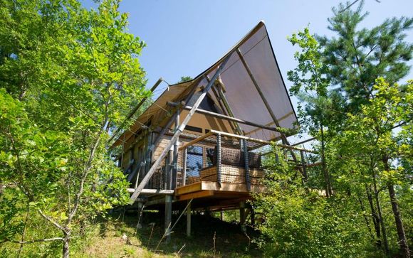 Vos appartements