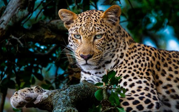 Vos programmes pour une aventure 