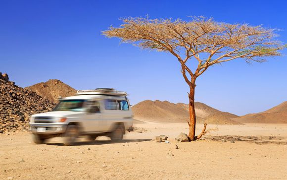 Safari en Jeep