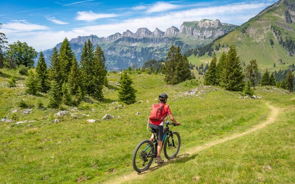 Vos excursions en option pour plus d