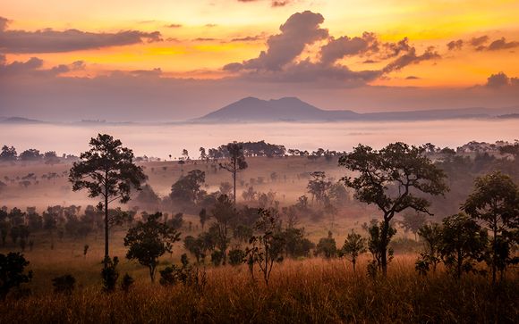 Rendez-vous... en Afrique du Sud