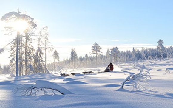 Vos excursions pour plus d