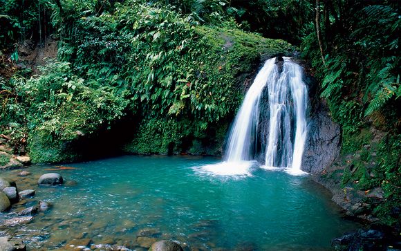 Rendez-vous... aux Antilles