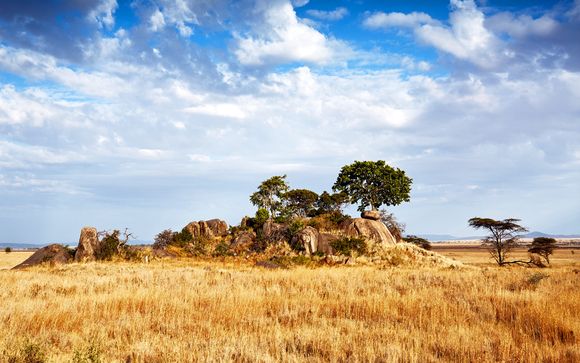 Rendez-vous... en Tanzanie