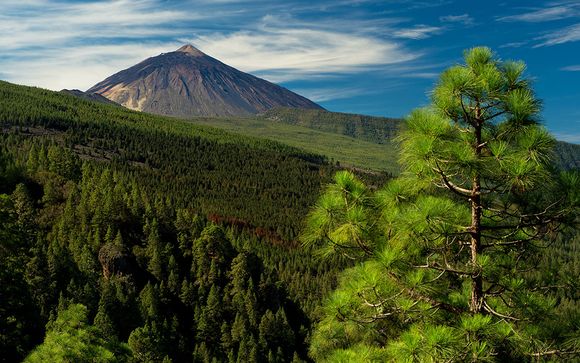 Rendez-vous... à Tenerife