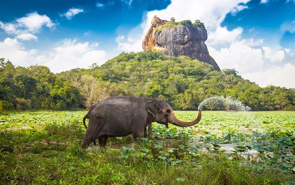 Rendez-vous... au Sri Lanka