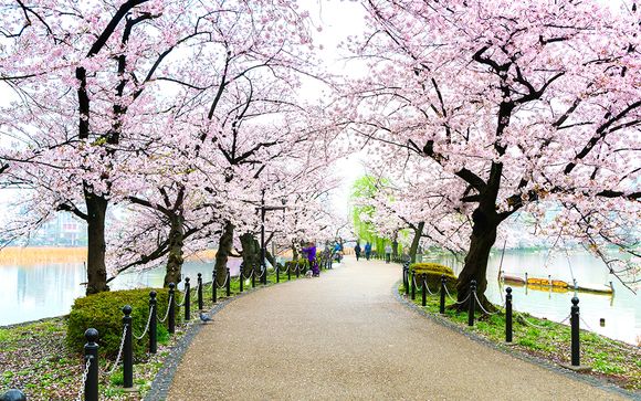 Circuit Les Trésors du Japon en hôtel 3* ou 4*