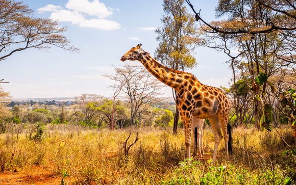 Zoom sur vos safaris