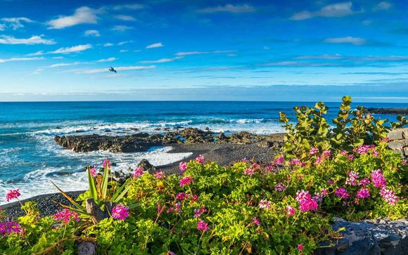 Rendez-vous... à Tenerife
