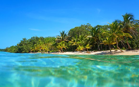Vos excursions pour plus d