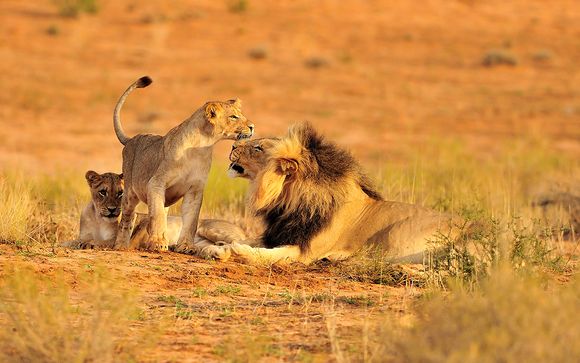 Rendez-vous... en Afrique du Sud