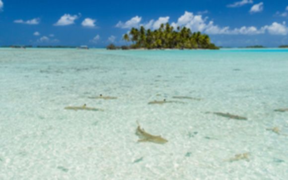 Votre excursion pour plus d