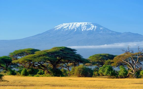 Rendez-vous... en Tanzanie