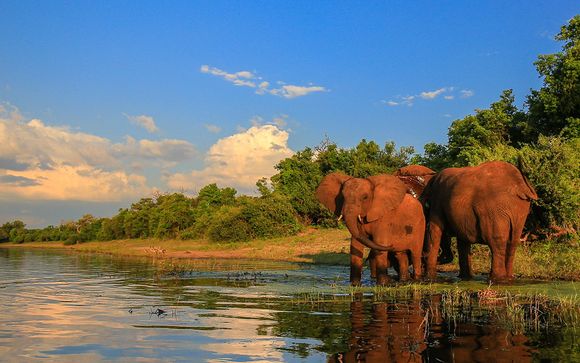totalement gratuit datant Afrique du Sud