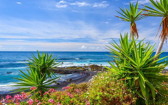 Rendez-vous... à Tenerife
