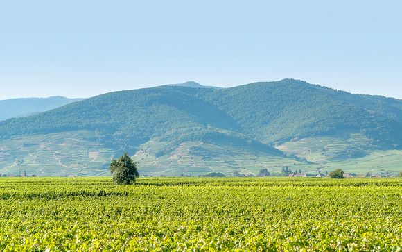 Rendez-vous... En Alsace