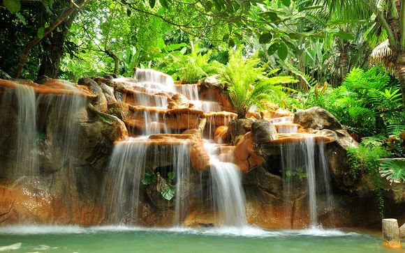 Zoom sur votre programme Grandeur nature