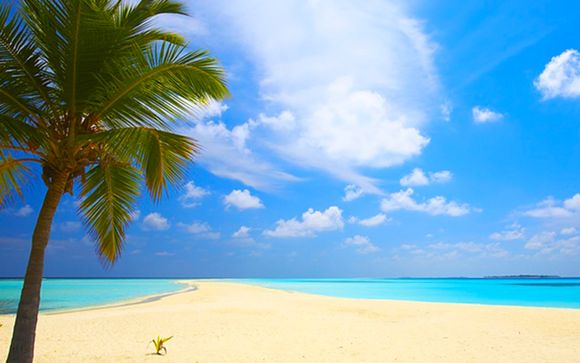 Rendez-vous... aux Antilles