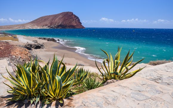 Rendez-vous... à Tenerife