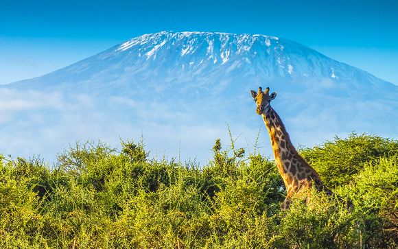 Safari inoubliable au coeur de la Tanzanie