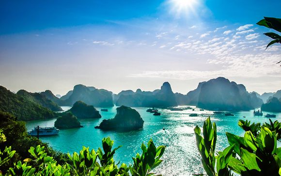 Odyssée tropicale au parfum d'exception