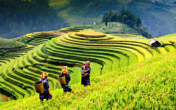 Votre extension au Vietnam (si vous choisissez l'offre 2)