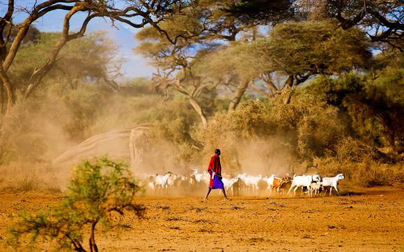 pourboire guide safari kenya