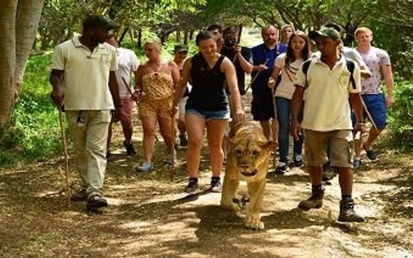Vos excursions pour plus d