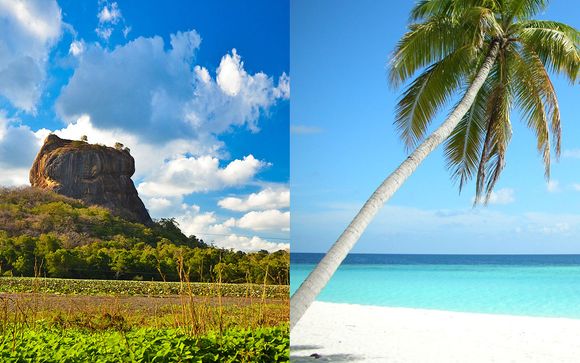 Voyage paradisiaque en classe Affaires
