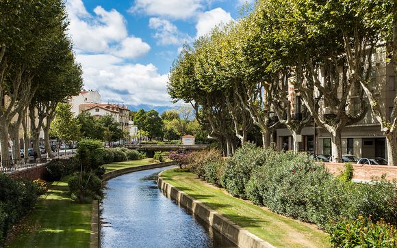 Détente et convivialité au bord du Canal du midi