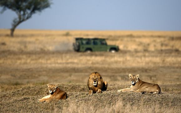 Rendez-vous... en Tanzanie