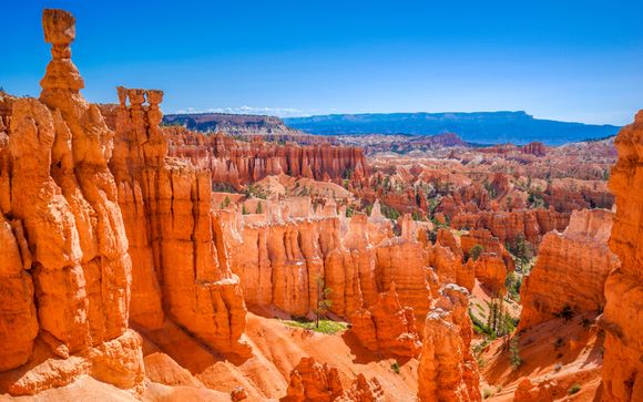 Rendez-vous... aux Etats-Unis