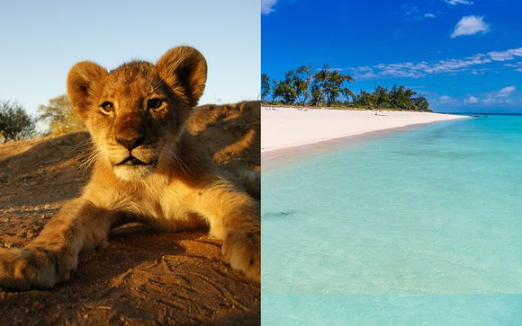 Safari au Parc Kruger et séjour balnéaire au Mozambique 13j/10n