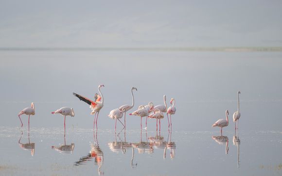 Le tappe del vostro itinerario