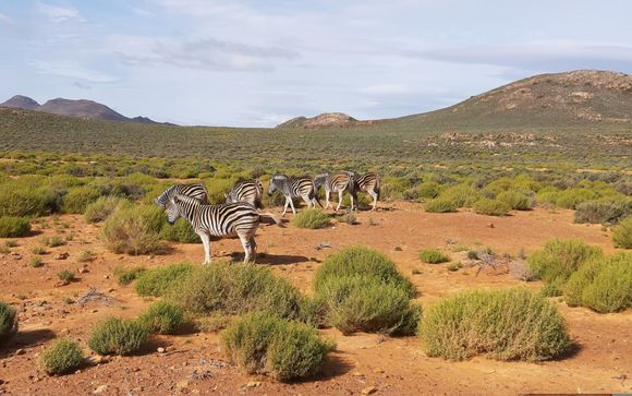 Benvenuti in... Sudafrica!