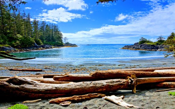 Le tappe del vostro itinerario 