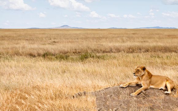 L'anteprima del vostro viaggio