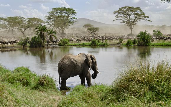 Le tappe del vostro itinerario