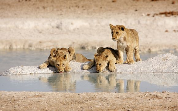 Le tappe del vostro itinerario 