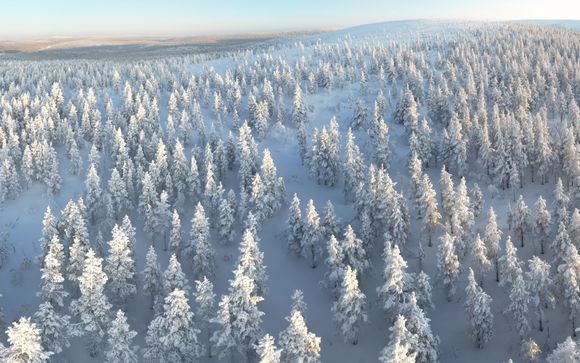 Le vostre attività a Sodankylä