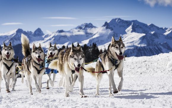 Avventura in slitta con husky (10 km)