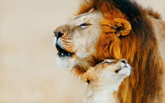 Le tappe del vostro itinerario